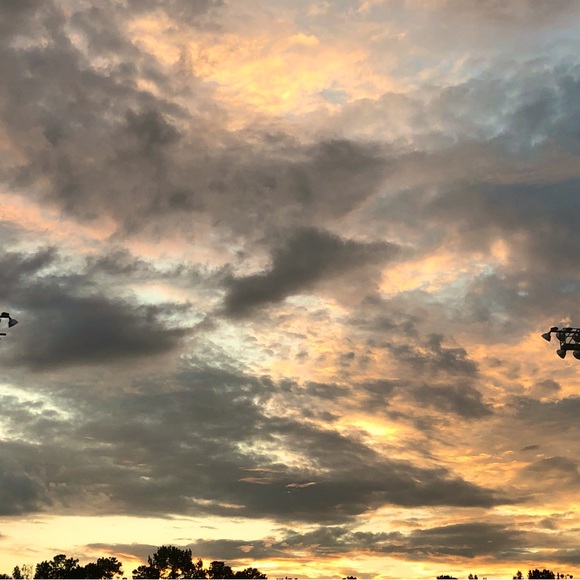 Meet your Posher, Angel - Picture 1 of 1